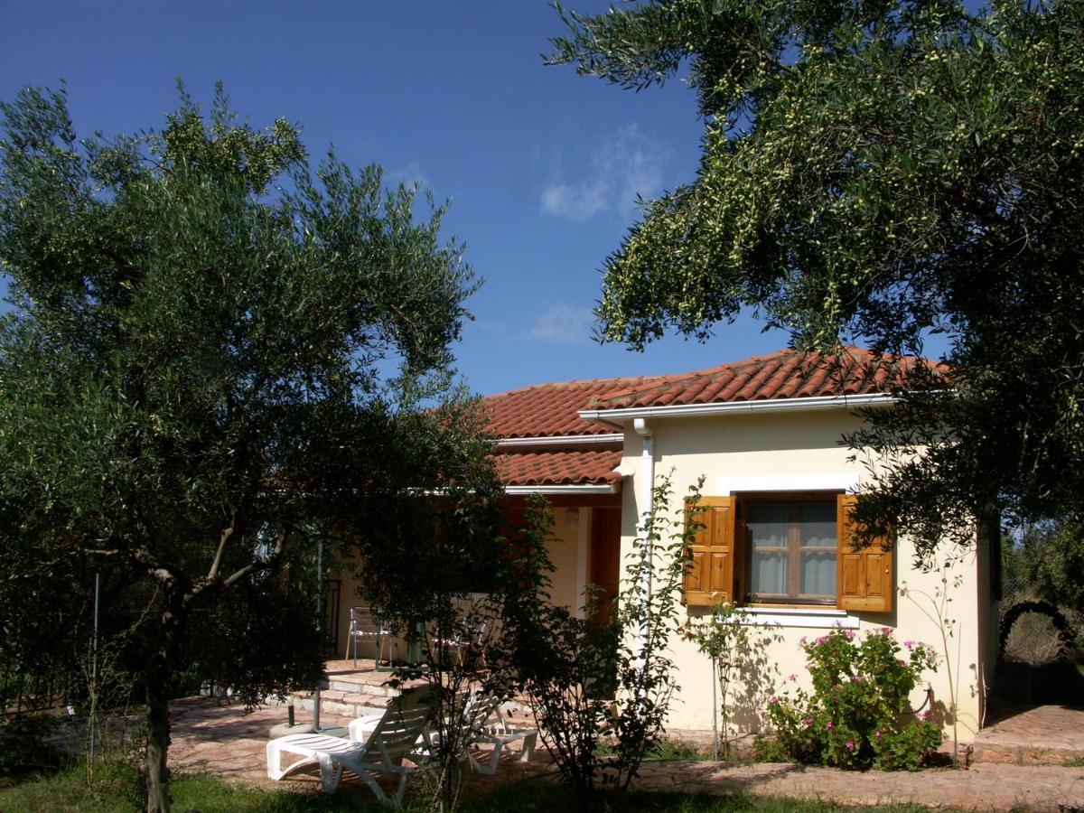 Ionianeon Apartments Agios Ilias  Exterior photo